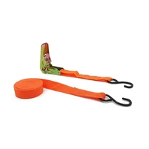 Racsnis rakományrögzítő heveder | kampós | 5 méter