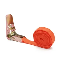 Racsnis rakományrögzítő heveder | 5 méter