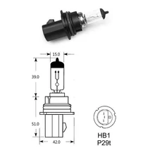 Elta VisionPro | izzó | 12V 100/80W P29t HB1