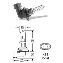 Elta VisionPro | izzó | 12V 60W P20d HB3