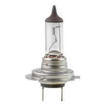 Narva | izzó | 24V 70W PX26d H7 Narva | izzó | 24V 70W PX26d H7