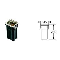 Biztosíték | japán | sarus | jcase | 80 amper