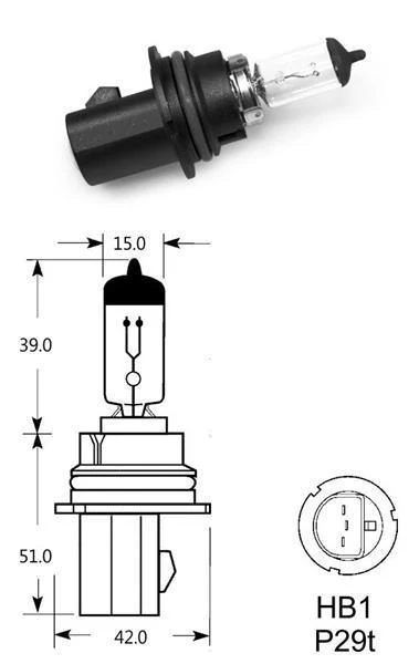Elta VisionPro | izzó | 12V 100/80W P29t HB1